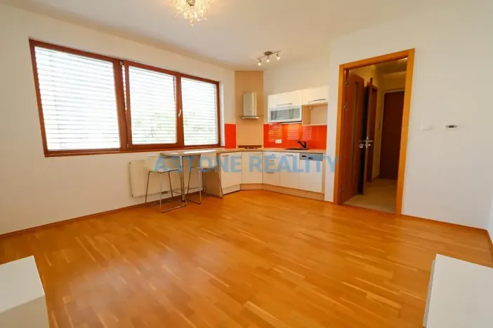 Pronájem bytu 1+kk, Praha - Břevnov, Brunclíkova, 30 m2