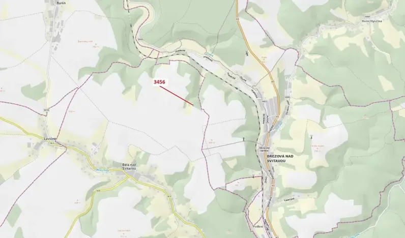 Dražba lesa, Bělá nad Svitavou, 212 m2