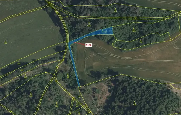 Dražba lesa, Volfířov, 536 m2