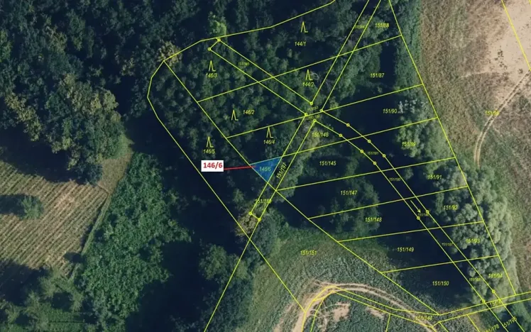 Dražba lesa, Přerov, 58 m2