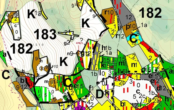 Dražba lesa, Volfířov, 710 m2