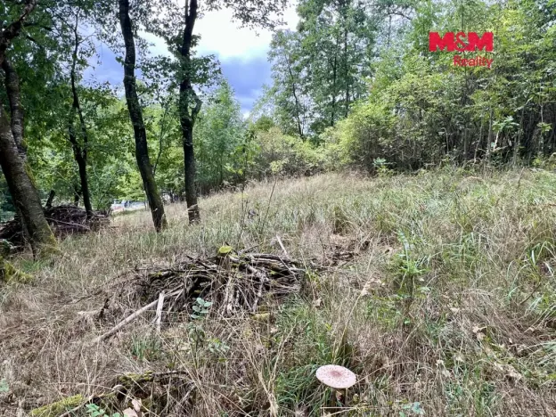 Prodej pozemku pro bydlení, Pyšely - Zaječice, 2037 m2