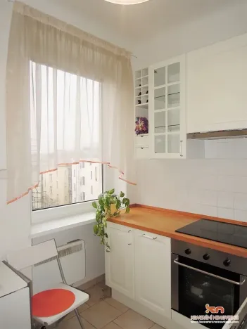 Pronájem bytu 1+1, Brno, Gorkého, 40 m2