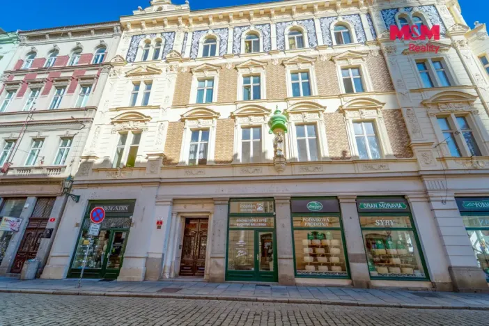 Pronájem bytu 2+1, Plzeň - Vnitřní Město, Rooseveltova, 81 m2