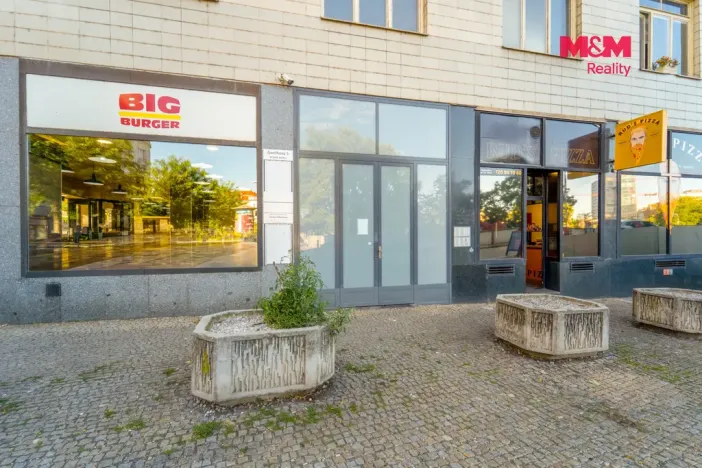 Pronájem bytu 1+1, Plzeň - Jižní Předměstí, Goethova, 34 m2