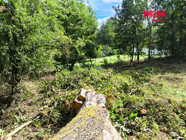 Prodej pozemku pro bydlení, Čejetice - Sedlíkovice, 689 m2