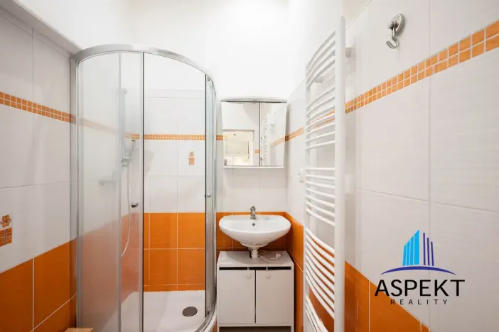 Pronájem bytu 2+1, Praha - Karlín, Vítkova, 50 m2