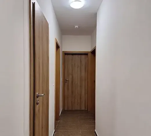 Pronájem bytu 2+kk, Praha - Nusle, Jaurisova, 51 m2