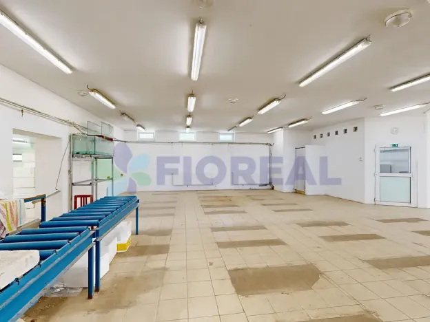 Prodej výrobních prostor, Lhůta, 320 m2