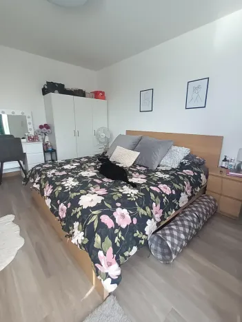 Pronájem bytu 2+kk, Svitavy, Svitavská, 50 m2