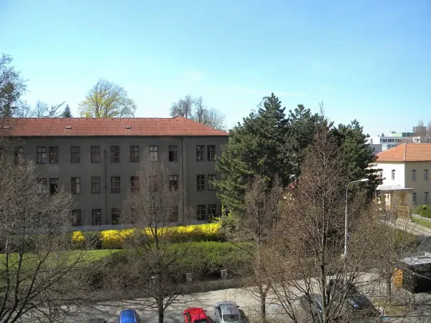 Pronájem bytu 2+kk, Brno, Palackého třída, 75 m2