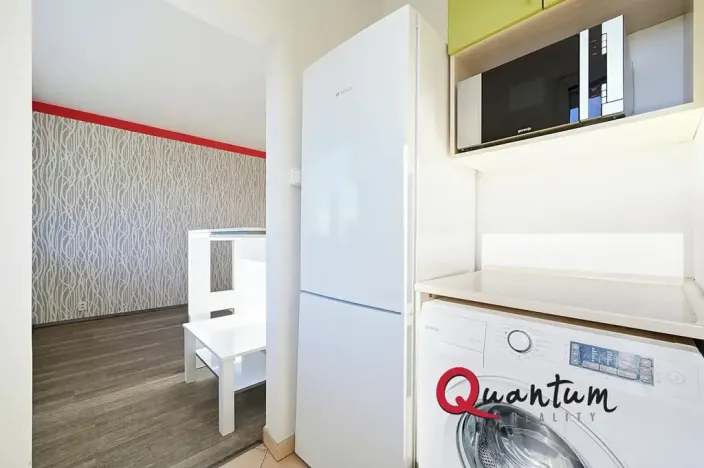 Prodej bytu 1+kk, Praha - Chodov, Ledvinova, 30 m2