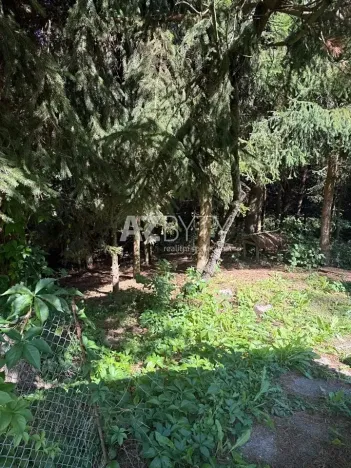 Prodej rodinného domu, Stružnice, 180 m2