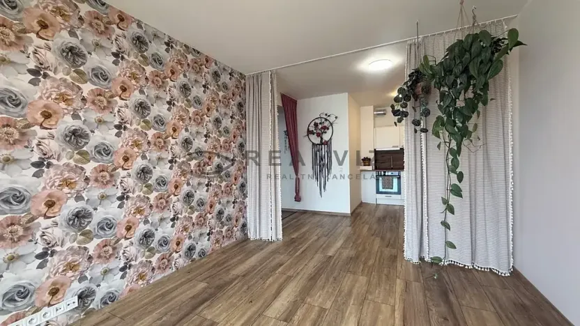 Prodej bytu 2+kk, České Budějovice, U Branišovského lesa, 52 m2
