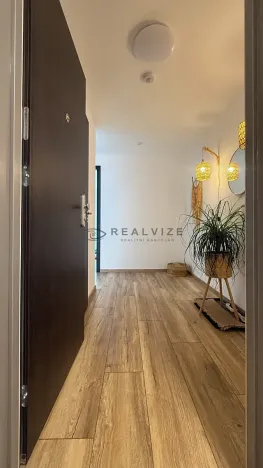 Prodej bytu 2+kk, České Budějovice, U Branišovského lesa, 52 m2