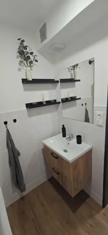Pronájem bytu 2+kk, Opava, Máchova, 48 m2