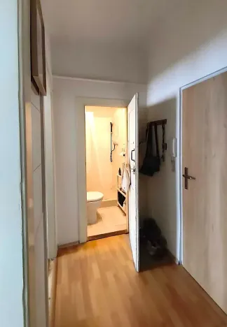 Pronájem bytu 2+kk, Brno, Gorkého, 35 m2
