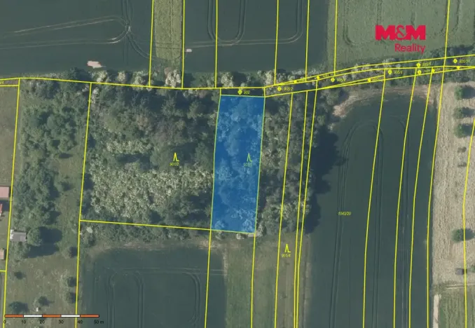 Prodej lesa, Nové Strašecí, 5970 m2