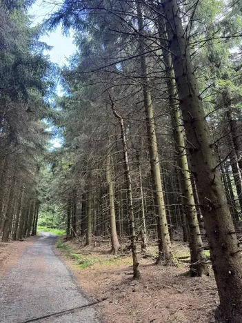 Prodej podílu lesa, Proseč pod Ještědem, 3598 m2