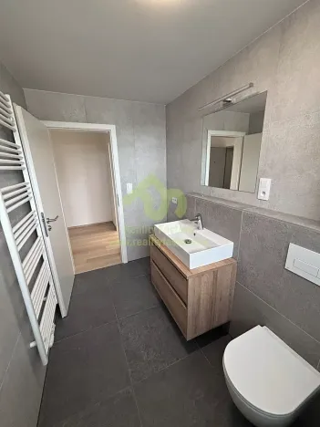 Pronájem bytu 1+kk, Dobřany, Denksteinova, 86 m2