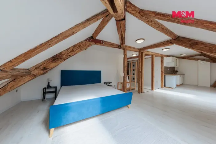 Prodej činžovního domu, Hroznětín, Mlýnská, 327 m2