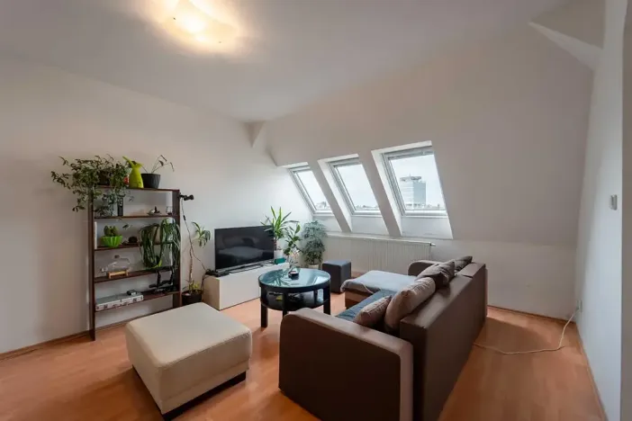 Pronájem bytu 3+kk, Olomouc, Palackého, 70 m2