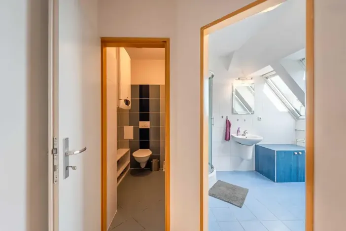 Pronájem bytu 3+kk, Olomouc, Palackého, 70 m2