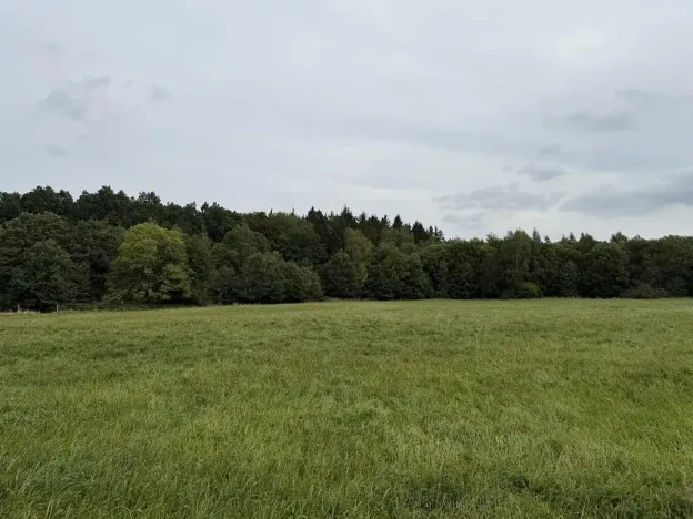 Prodej pole, Nové Město pod Smrkem, 8555 m2