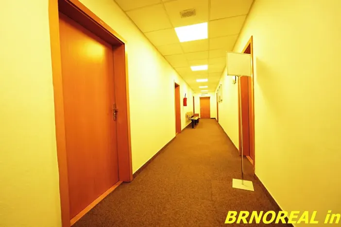 Pronájem kanceláře, Brno, Příkop, 20 m2