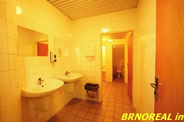 Pronájem kanceláře, Brno, Příkop, 20 m2