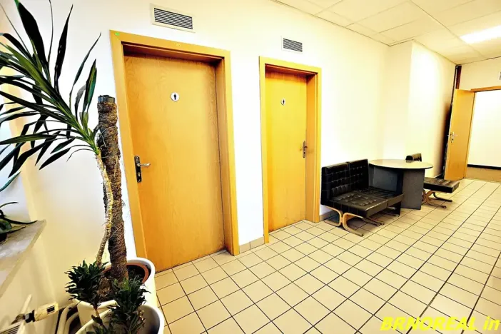 Pronájem kanceláře, Brno, Příkop, 20 m2