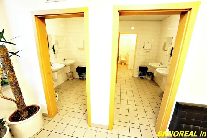 Pronájem kanceláře, Brno, Příkop, 20 m2
