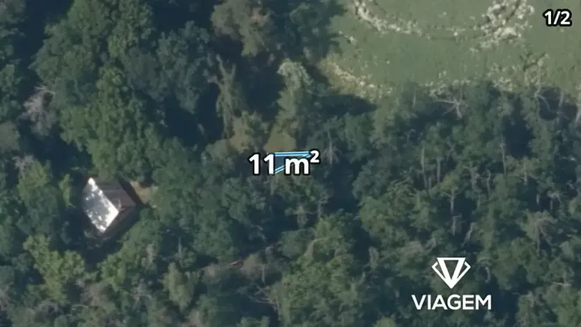 Prodej lesa, Chyňava, 1972 m2