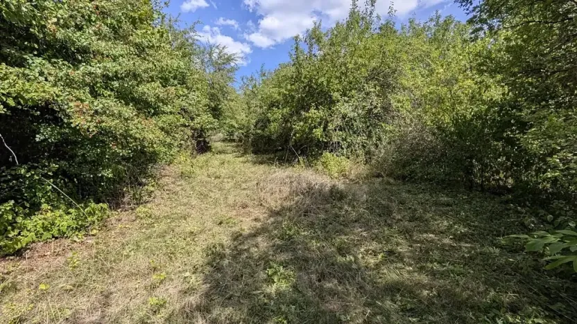 Prodej zahrady, Brno, Zaječí hora, 470 m2