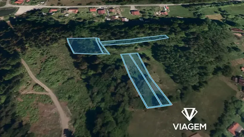 Prodej lesa, Mikulůvka, 3828 m2