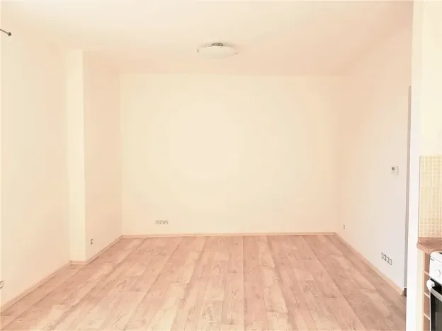 Pronájem bytu 1+kk, České Budějovice, Tylova, 34 m2