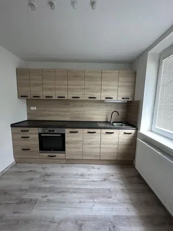 Pronájem bytu 1+1, Ostrava, Hasičská, 40 m2