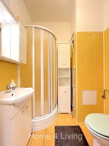 Pronájem bytu 1+1, Brno, Tábor, 30 m2