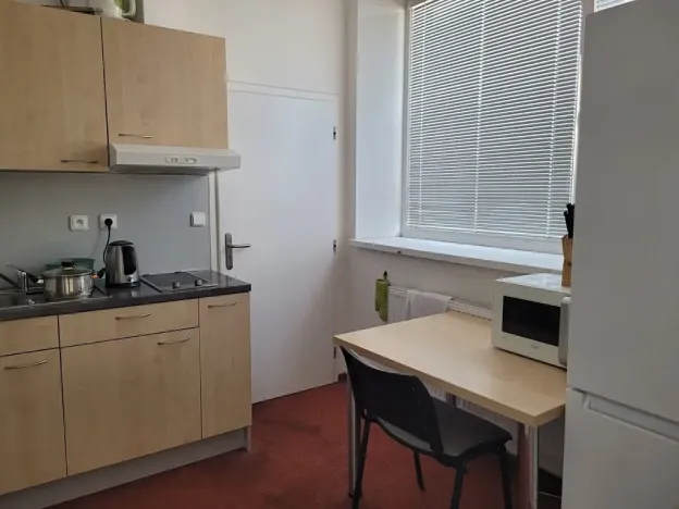 Pronájem bytu 2+1, Brno, Vídeňská, 43 m2