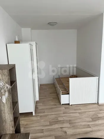 Pronájem bytu 1+kk, Praha - Záběhlice, Topolová, 31 m2