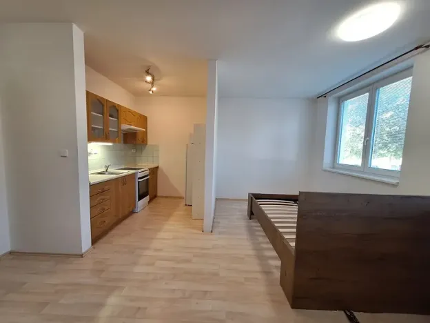 Pronájem bytu 1+kk, Brno, K Babě, 36 m2