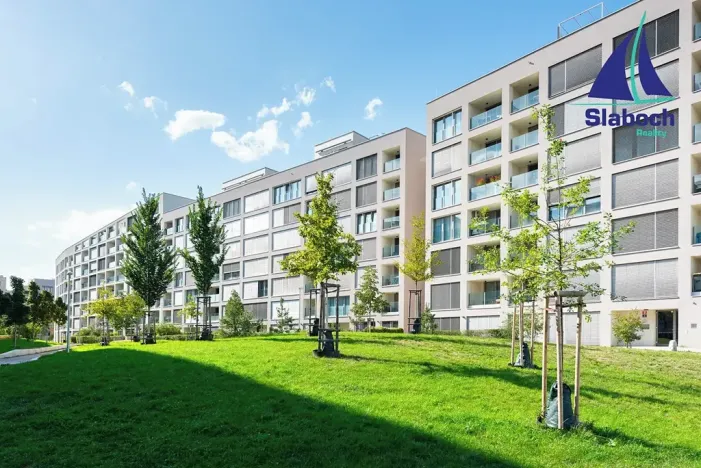 Pronájem bytu 1+kk, Praha - Karlín, Breitfeldova, 45 m2
