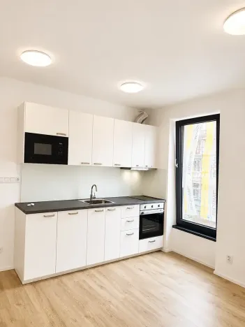 Pronájem bytu 2+kk, Plzeň, Železná, 47 m2