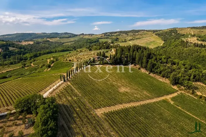 Prodej vily, Castellina in Chianti, Itálie, 1130 m2