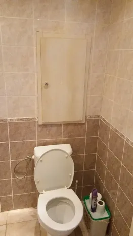 Pronájem bytu 1+kk, Brno, Zikova, 33 m2