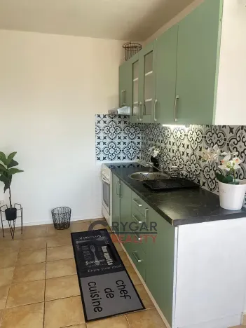 Prodej bytu 2+kk, Praha - Braník, Novodvorská, 43 m2
