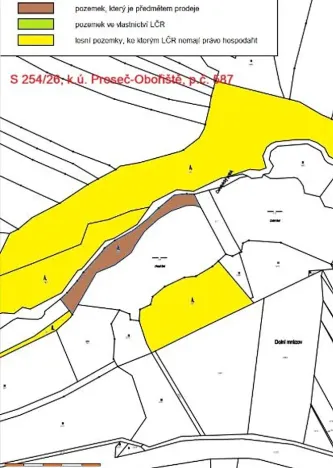 Prodej lesa, Nová Cerekev, 2440 m2