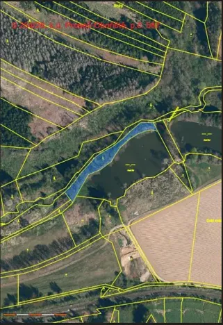 Prodej lesa, Nová Cerekev, 2440 m2