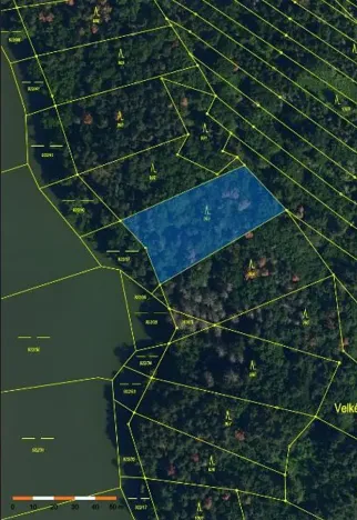 Prodej lesa, Mladoňovice, 2112 m2