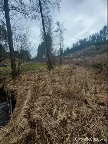 Prodej lesa, Dolní Hořice, 4440 m2